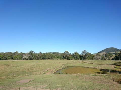 Photo: Mary Valley Adventure Trails